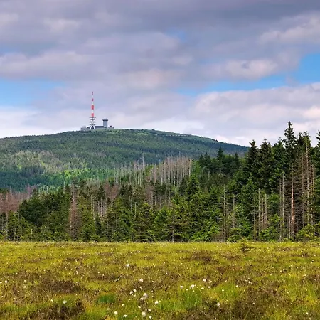 Haus Nietmann_ 4 Apartment Altenau (Lower-Saxony)