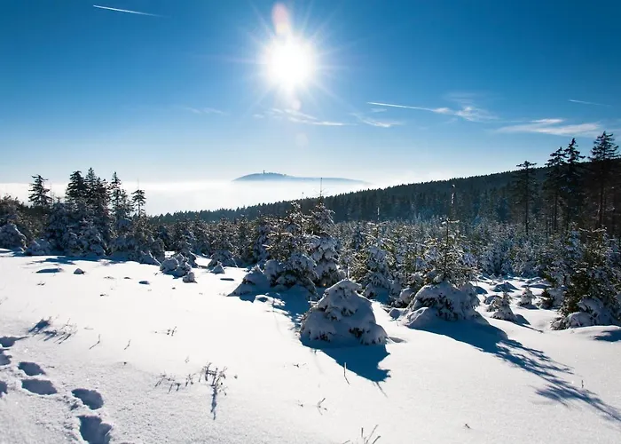 Haus Nietmann_ 4 阿尔特瑙